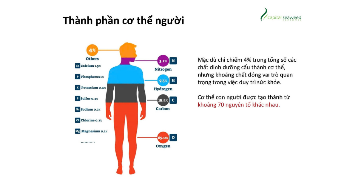 khoáng-chất-chuyển-hoá