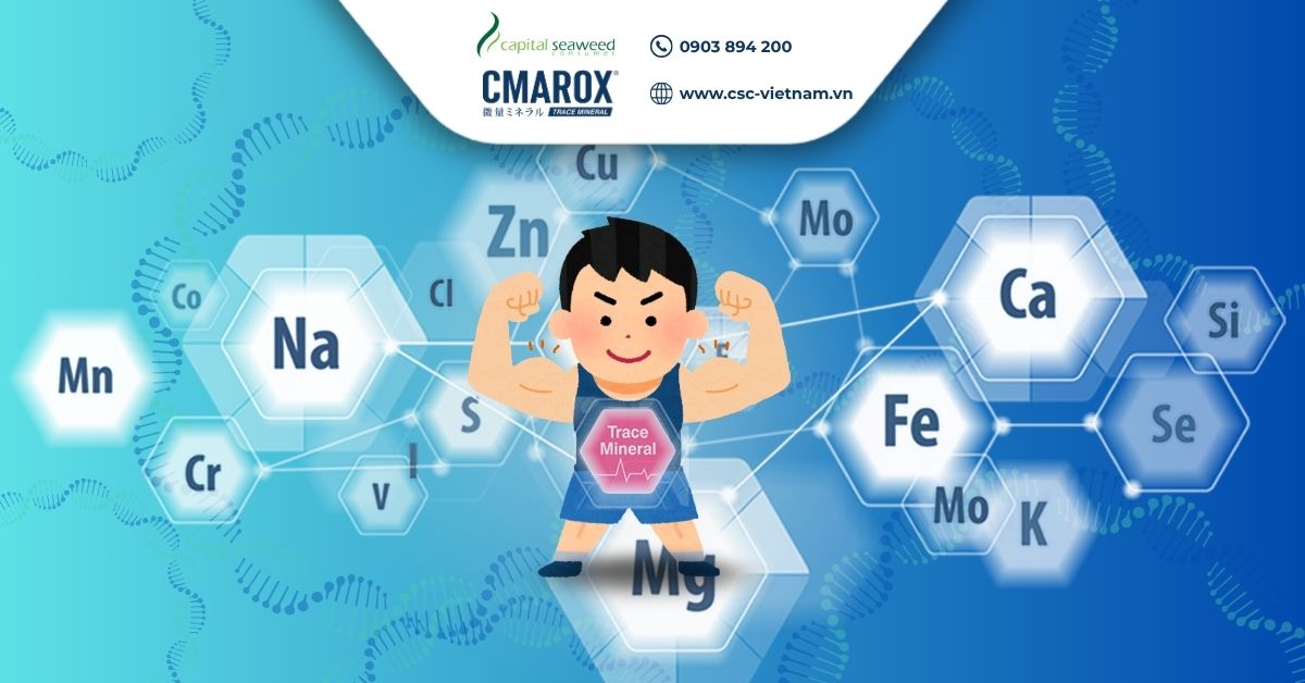 cac-vi-chat-quan-trong-doi-voi-co-the