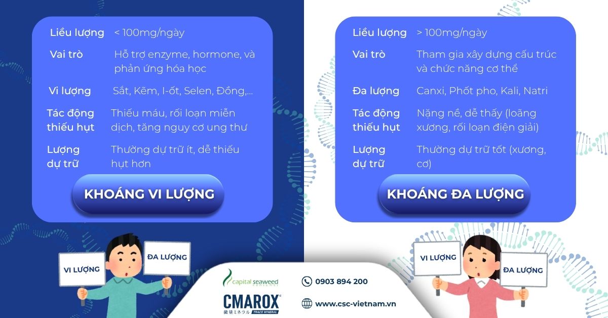 phan-biet-giua-khoang-vi-luong-va-khoang-da-luong