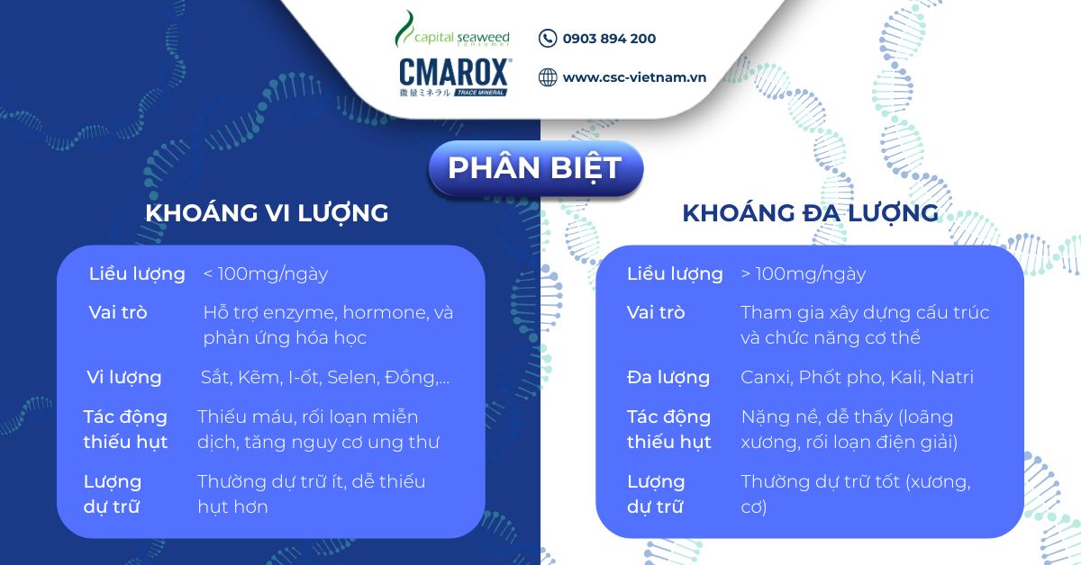 phan-biet-khoang-vi-luong-va-khoang-da-luong